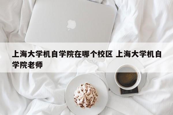 上海大学机自学院在哪个校区 上海大学机自学院老师