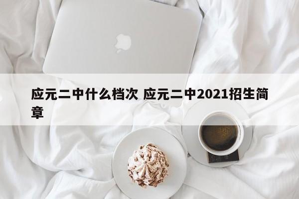 应元二中什么档次 应元二中2021招生简章