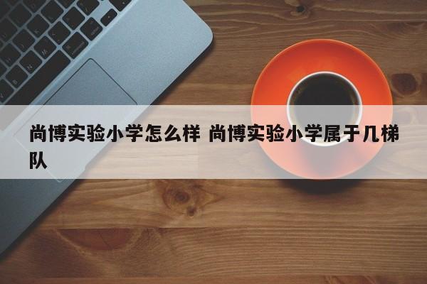 尚博实验小学怎么样 尚博实验小学属于几梯队