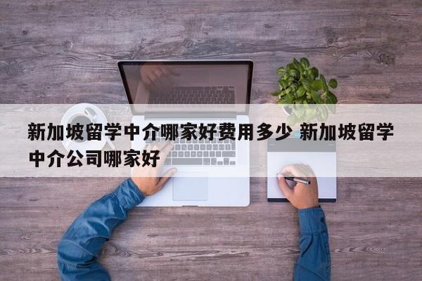 新加坡留学中介哪家好费用多少 新加坡留学中介公司哪家好-第1张图片-江苏在职研究生招生信息网